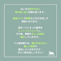 画像321