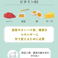 画像418
