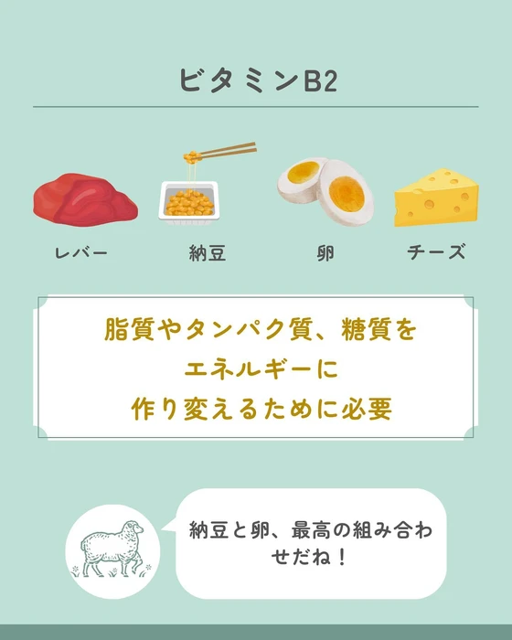 画像418