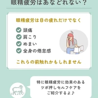 画像455