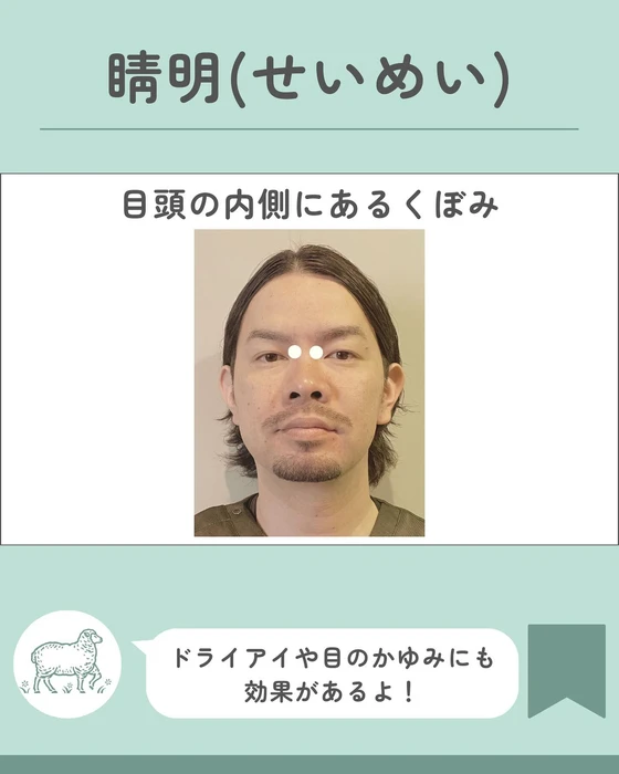 画像459