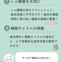 画像504