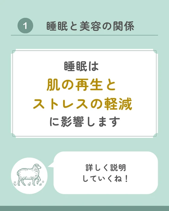 画像513