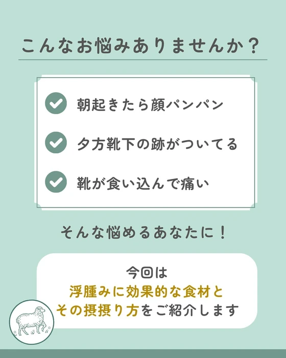 画像528