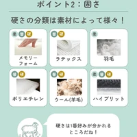 画像541