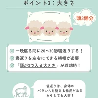 画像542