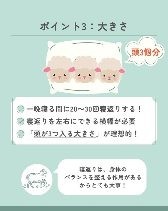 画像542