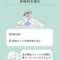 画像557