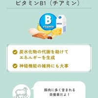 画像609
