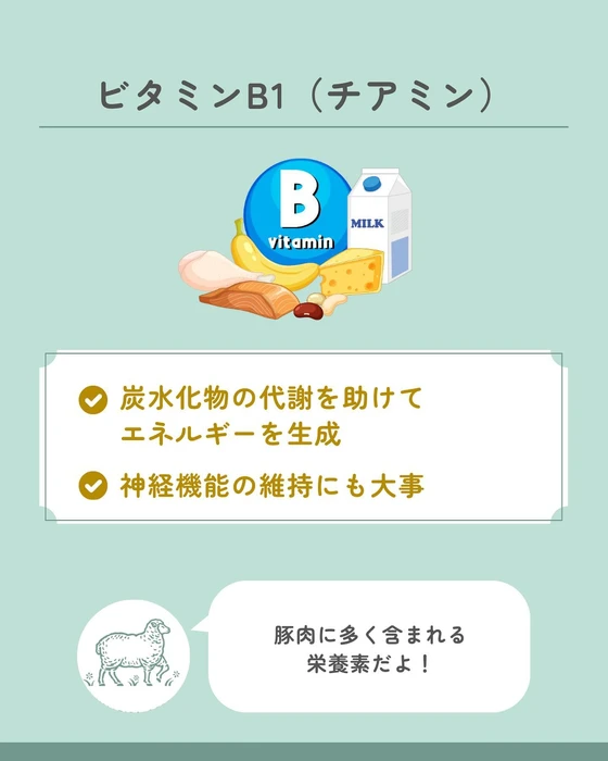 画像609