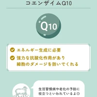 画像610