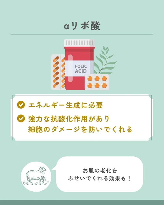 画像611