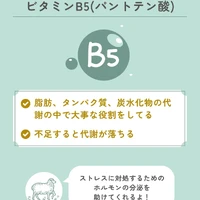 画像612