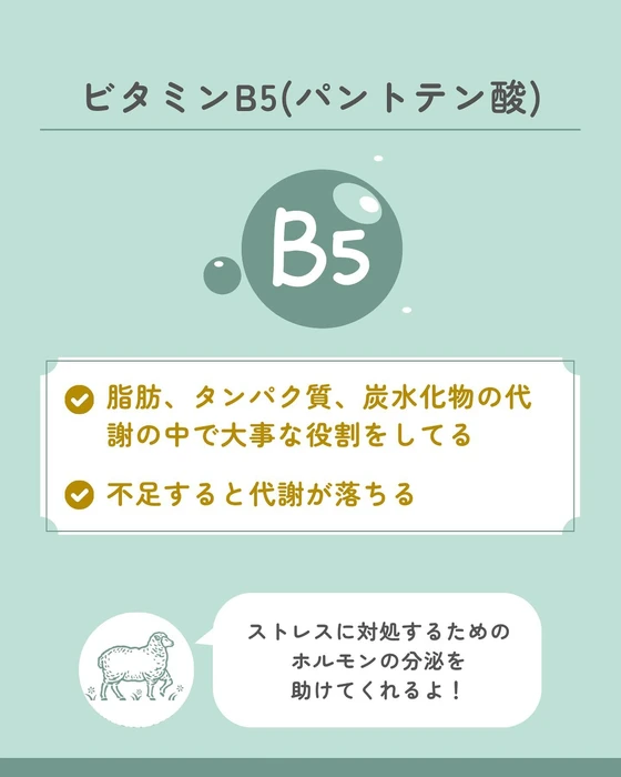 画像612