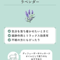 画像632