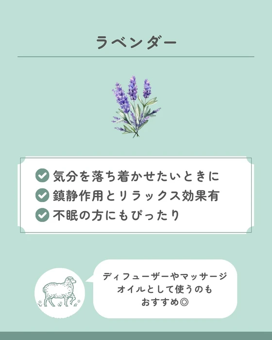画像632