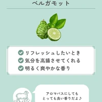 画像633