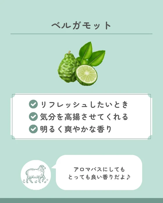 画像633
