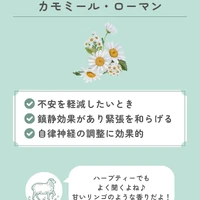 画像634