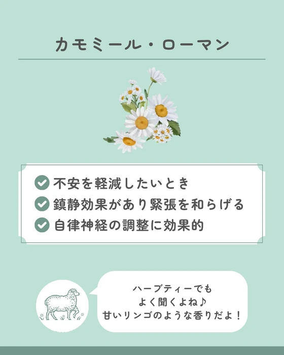 画像634