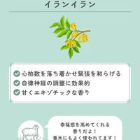 画像635