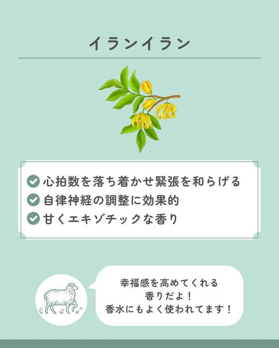 画像635