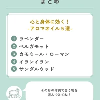 画像637